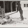 Sawing wood on farm. Woodstock, Vermont