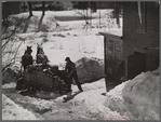 Unloading stove wood from sled woodshed. Woodstock, Vermont