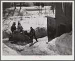 Unloading stove wood from sled woodshed. Woodstock, Vermont
