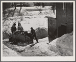 Unloading stove wood from sled woodshed. Woodstock, Vermont