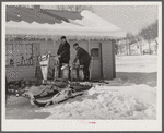 Hauling water in milk cans after pipes have frozen. Clinton Gilbert's farm, Woodstock, Vermont