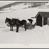 Hauling water in milk cans after pipes have frozen. Putney farm, Woodstock, Vermont