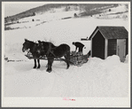Hauling water in milk cans after pipes have frozen. Putney farm, Woodstock, Vermont