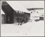 Clearing deep snow out of front barnyard so that if a sudden thaw comes, the cellar and first floor of house and barn will not be flooded. Putney farm, Woodstock, Vermont