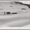 Oxen hauling a sled on Clinton Gilbert's farm. Woodstock, Vermont