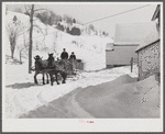 Clinton Gilbert, farmer, and his helper hauling water in milk cans on sled, as their sources of water supply were frozen for two months during very severe winter. Woodstock, Vermont