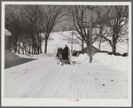 Clinton Gilbert, farmer, and his helper hauling water in milk cans on sled, as their sources of water supply were frozen for two months during very severe winter. Woodstock, Vermont