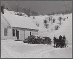 Clinton Gilbert, farmer, and his helper hauling wood in sled. Woodstock, Vermont