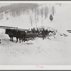 Taking wood from snowed-under woodpile into shed with team of oxen and sled. Near Barnard, Windsor County, Vermont. Woodstock