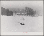 Farm during snowstorm near Barnard, Windsor County, Vermont