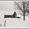 Taking wood from snowed-under woodpile into shed with team of oxen and sled. Near Barnard, Windsor County, Vermont