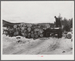 Logs leveled by 1938 hurricane piled at sawmill near Warren, New Hampshire