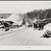 Logs leveled by 1938 hurricane piled at sawmill near Warren, New Hampshire