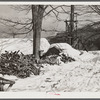 Woodpiles outside of sugar house on Frank Shurtliffs farm, North Bridgewater, Vermont. Large supply of wood is needed for fuel in boiling the maple sap. Sugaring brings in about one thousand dollars annually. Because of the deep snow this year he only