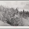 Snow-covered trees on top of Cannon Mountain. Franconia Notch, New Hampshire