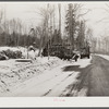 Hauling wood to go to paper mills. Near Littleton, New Hampshire