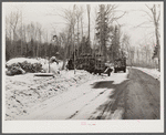 Hauling wood to go to paper mills. Near Littleton, New Hampshire