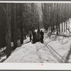 Gathering sap from maple sugar trees on the Frank H. Shurtleff farm. North Bridgewater, Vermont