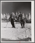 Skiers on top of Cannon Mountain. Franconia Notch, New Hampshire