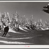 Skier on top of Cannon Mountain. Franconia Notch, New Hampshire