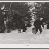 Frand Shurtleff and young neighbor carrying buckets of maple sap. Shurtleff farm, North Bridgewater, Vermont. Gathering sap from maple sugar trees is a social event enjoyed by young and old in the neighborhood