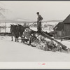 Hired man hauling logs with sled and team on farm near Waterbury, Vermont. He said "There ain't nothin' meaner than a log except a woman when she wants to be, and they're just as stubborn"