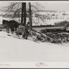 Hired man hauling logs with sled and team on farm near Waterbury, Vermont. He said "There ain't nothin' meaner than a log except a woman when she wants to be, and they're just as stubborn." They sold the timber to a lumber company