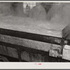 Boiling down sap into maple syrup in evaporator in Walter Gaylord's house in Waitsfield, Mad River Valley, Vermont. He averages about 150 gallons of syrup annually but this year tapped only 600 out of his 1000 trees, because of unusually deep snow and