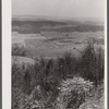 The fertile Shenandoah in the spring. Virginia