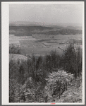 The fertile Shenandoah in the spring. Virginia