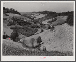 Farmland in northern Tennessee
