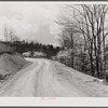 Country road with dogwood in blossom in the spring. Shenandoah Valley, Virginia