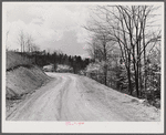 Country road with dogwood in blossom in the spring. Shenandoah Valley, Virginia