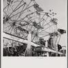 Cotton carnival. Memphis, Tennessee
