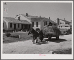 Lloyd Young, FSA (Farm Security Administration) client, hauling load of hay past the office and Community building of Plum Bayou Project, Arkansas (see general caption)