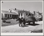 Lloyd Young, FSA (Farm Security Administration) client, hauling load of hay past the office and Community building of Plum Bayou Project, Arkansas (see general caption)