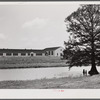 School building. La Delta Project, Louisiana