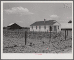 FSA (Farm Security Administration) client's home, barn and garden. La Delta Project, Louisiana