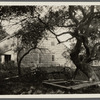 Mrs. Brown house. North side Amagansett Road, just east of Geo. Bushmill house (1873) (now N? S? Contractor). East Hampton, East Hampton