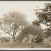 Mrs. Brown house. North side Amagansett Road, just east of Geo. Bushmill house (1873) (now N? S? Contractor). East Hampton, East Hampton