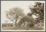Mrs. Brown house. North side Amagansett Road, just east of Geo. Bushmill house (1873) (now N? S? Contractor). East Hampton, East Hampton