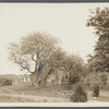 Mrs. Brown house. North side Amagansett Road, just east of Geo. Bushmill house (1873) (now N? S? Contractor). East Hampton, East Hampton