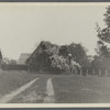 Wisteria covered house. North side Buell's Lane, about 150ft west of Main Street. East Hampton, East Hampton