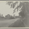 View of Dominy windmill, alias Hook Mill. Looking west. East Hampton, East Hampton