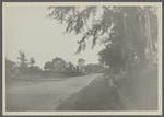 View of Dominy windmill, alias Hook Mill. Looking west. East Hampton, East Hampton