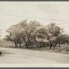 John Brewster house. East Setauket, Brookhaven