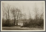 View of Artist Lake. Formerly Glover's pond.  Middle Island, Brookhaven