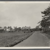Talmage farmhouse. South side MaiI Route Road from Amagansett to The Springs. Amagansett,  East Hampton
