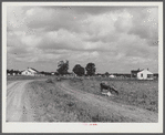 New homes on La Delta project. Thomastown, Louisiana