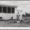 Violet Davenport with her chickens by new chicken house, La Delta Project Thomastown, La